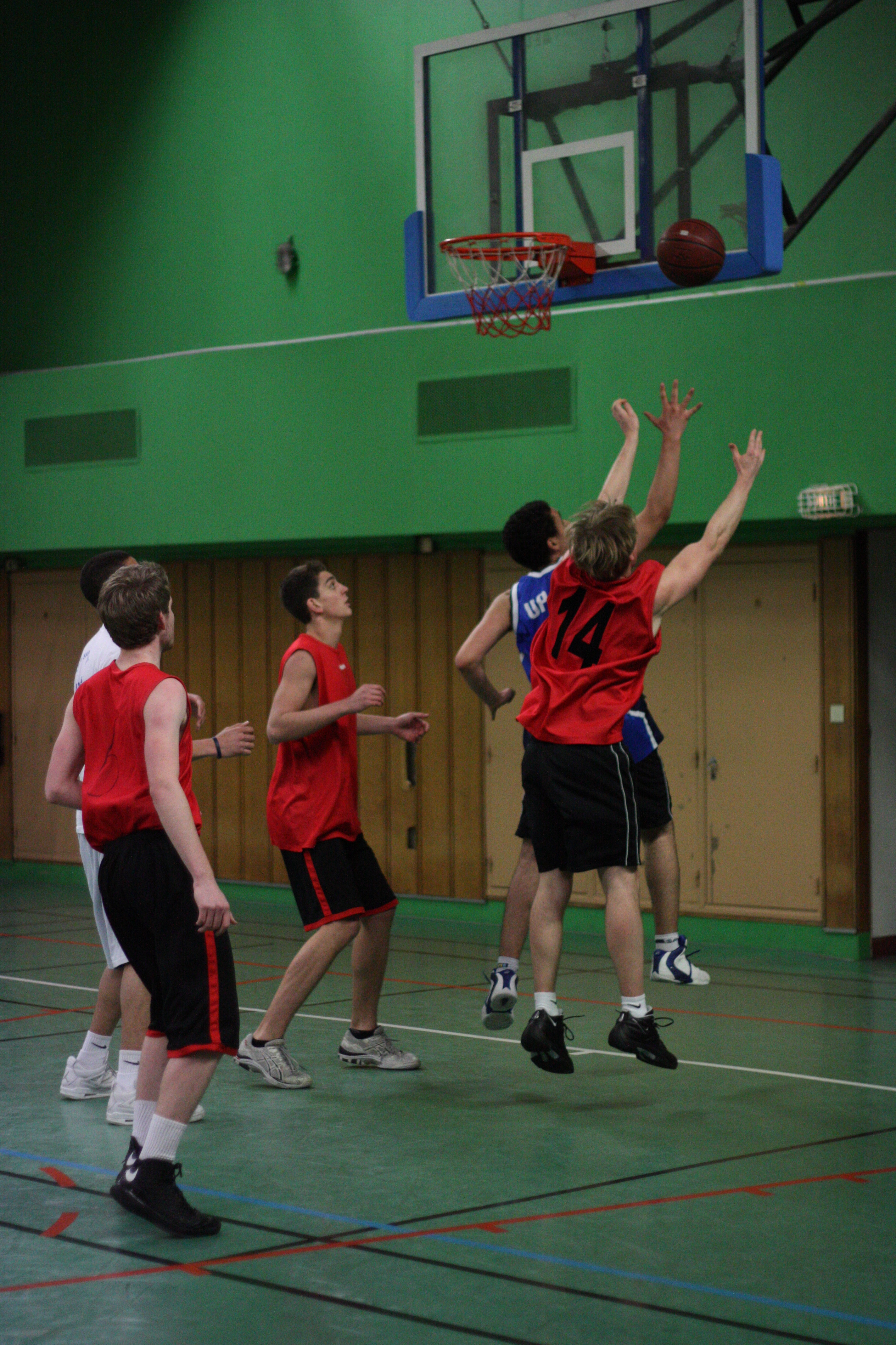 AUP Basketball 2008