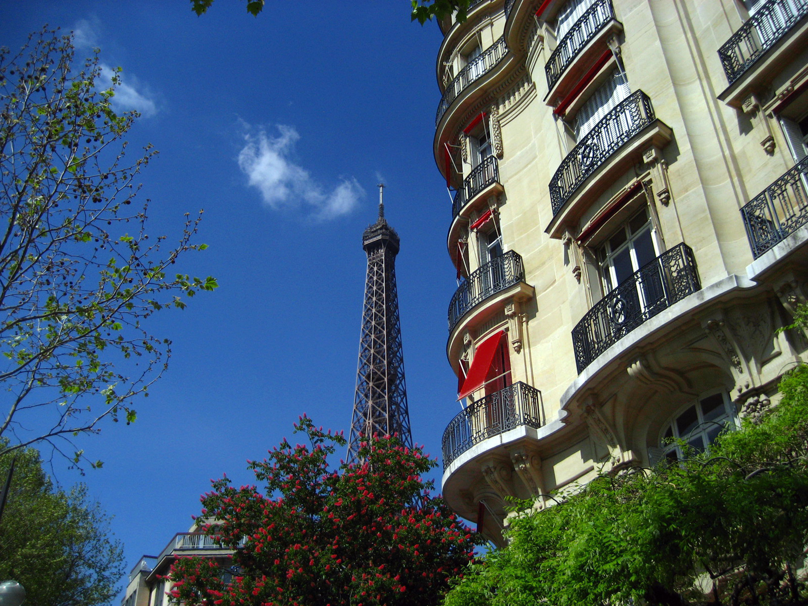 Eiffel Tower shot from the 7éme Arrondissement